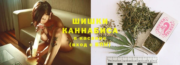 прущий лед Верея